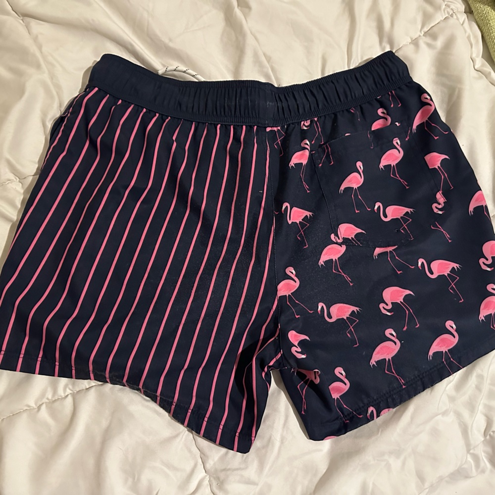 Alpha forward swim trunks